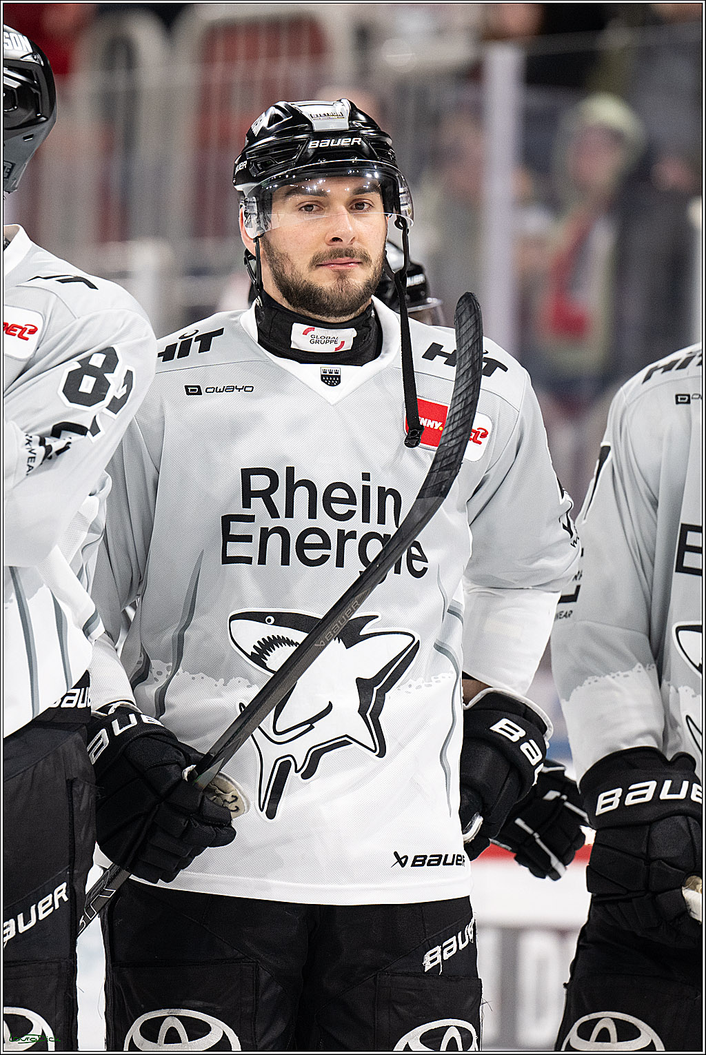 PENNY DEL; Duesseldorfer EG- Koelner Haie; Duesseldorf, 24.01.2025